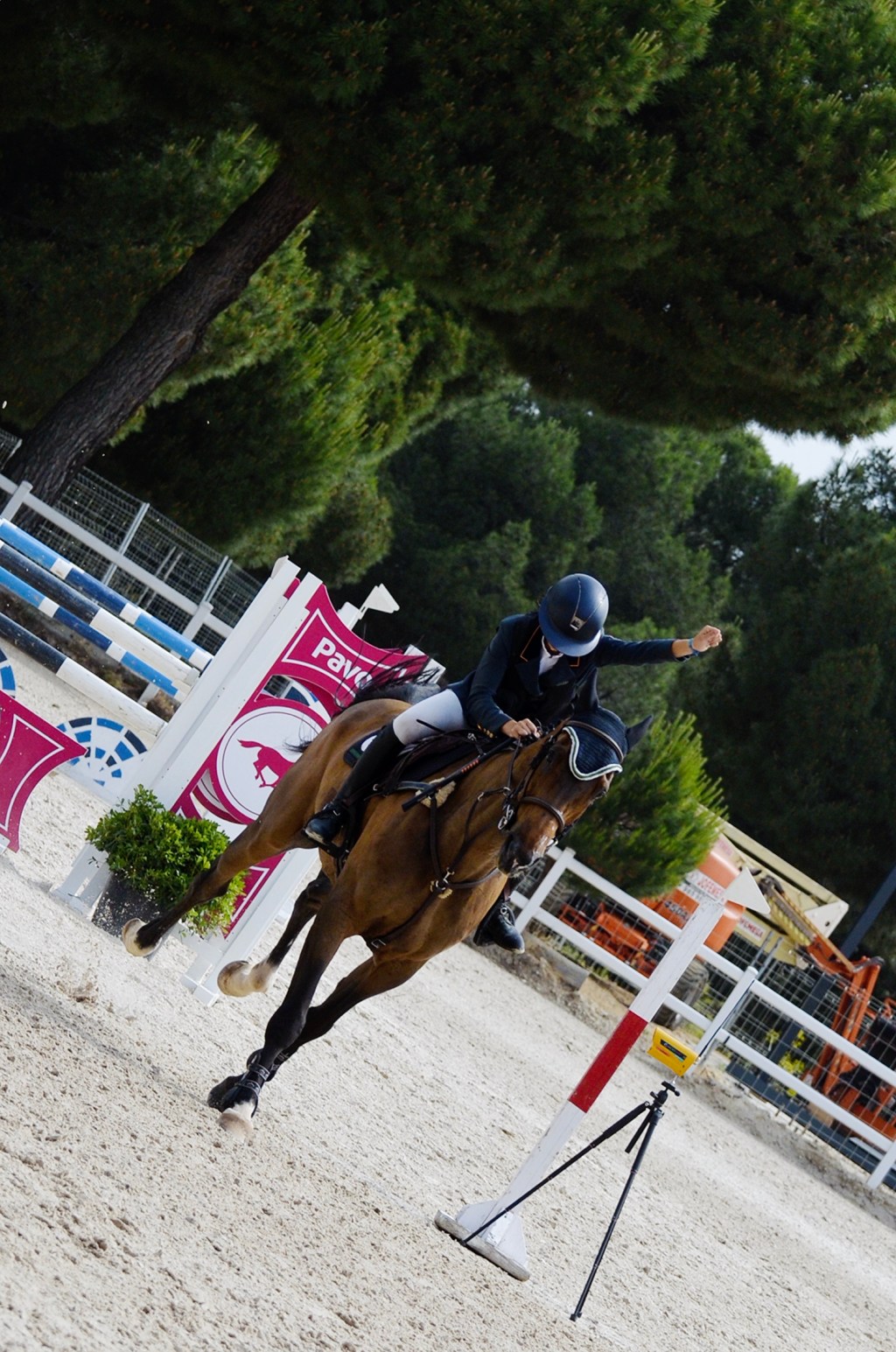 Alejandra Molina de la Cuerda: el equilibrio entre estrategia y resistencia